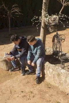 Children next to a tree trunk. Stock Photos