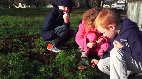 Children at the park, researching Stock Footage 45364539