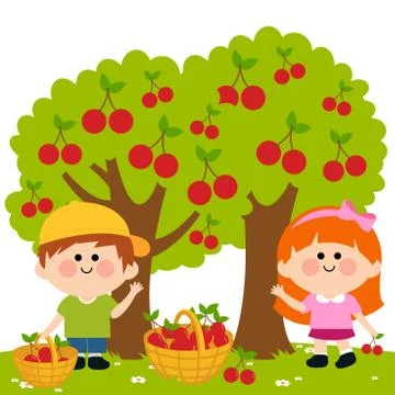 Children picking cherries under a cherry tree. Vector illustration Stock Illustration