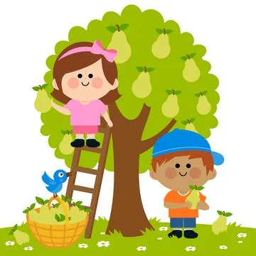 Children picking pears under a pear tree. Vector Illustration Illustrazione stock