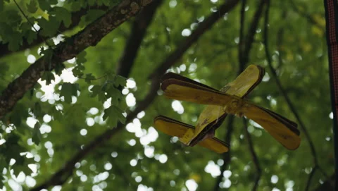 Children plane 库存影片 318179407