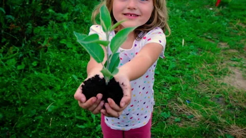 Children plant a tree in summer. Selective focus. Stock Footage 159658491