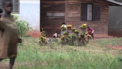 Children play behind the house Stock Footage 80415665