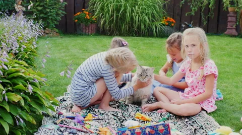 Children play with a cat in the yard. Sitting on a green meadow, stroking the Stock Footage 66477207