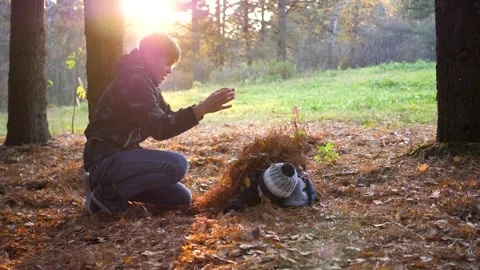 Children play in the pine Park, run around the trees, throw leaves. The sun's Stock Footage 143336596