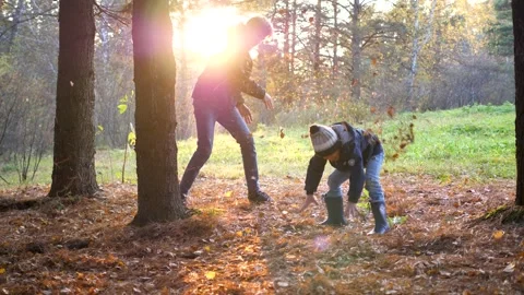 Children play in the pine Park, run around the trees, throw leaves. The sun's Stock Footage 148067836