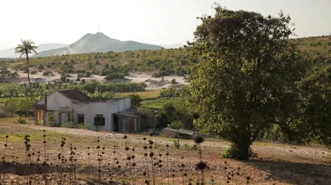 Children play in the shade of trees in a poor village. Video stock 50418903