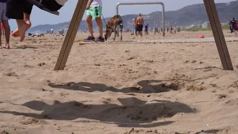 Children play swing on the beach Stock Footage 181626179