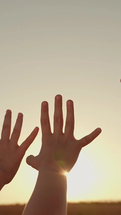 Children play with their hands in rays sun. Children stretch their arms toward Stock Footage 321903060