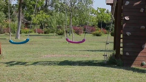 Children playground grass tree background Stock Footage 113113714