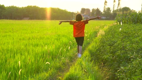 Children playing and exercise on sunrise background for joy and relax on field 库存影片 150887442