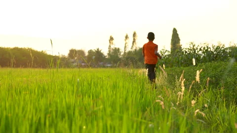 Children playing and exercise on sunrise background, kids group joy and relax Stock Footage 150887477