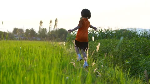 Children playing and exercise on sunrise background for joy and relax on field 스톡 동영상 150888000