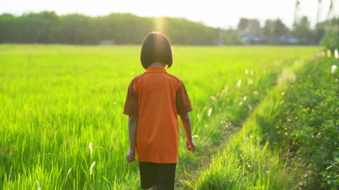 Children playing and exercise on sunrise background for joy and relax on field Vídeo Stock 150889449