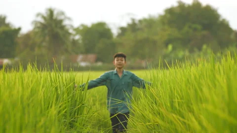 Children playing and spread out hands touch green leaf of rice field organic  Vídeo Stock 219067096