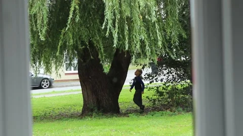 Children playing around a large willow tree 库存影片 138036172