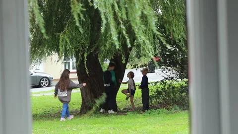 Children playing around a large willow tree Video stock 138036187