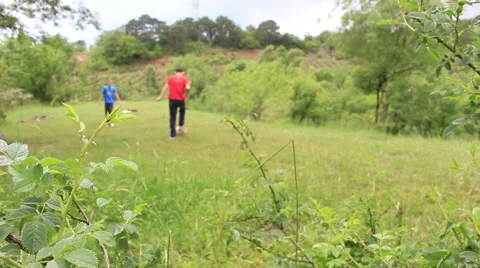 Children playing ball. Video stock 50566908