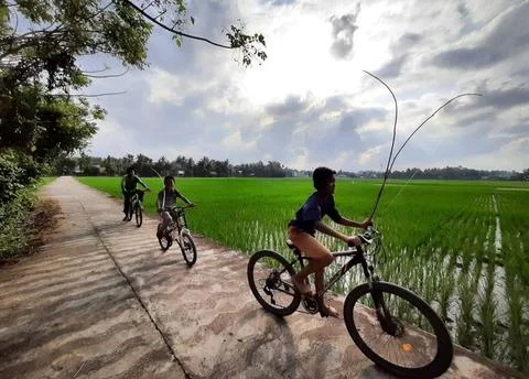 Children playing bicycles Stock Photos