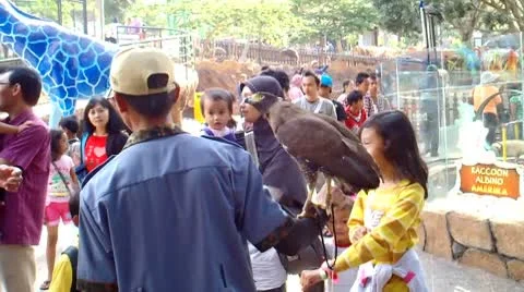 Children Playing Bird Stock Footage 8888384