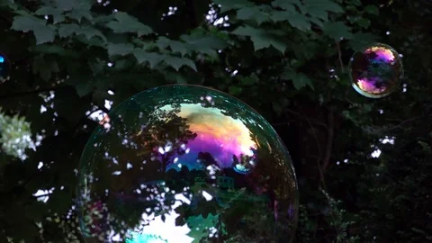 Children playing with bubbles Stock Footage 94408956