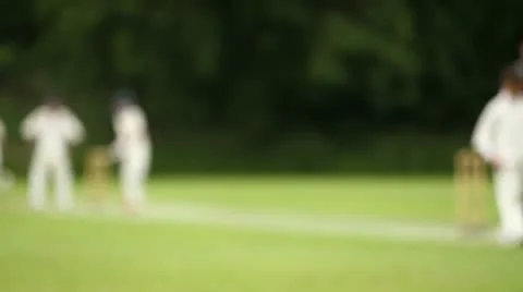 Children Playing Cricket Defocus Stock Footage 11252944