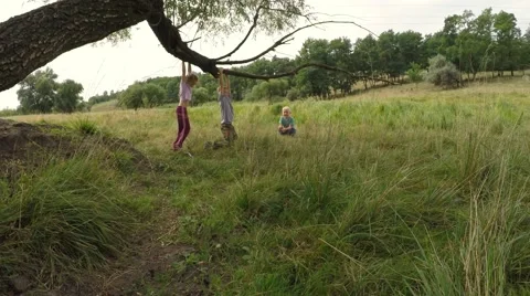 Children playing on a fallen tree. Green meadow. 库存影片 53307903