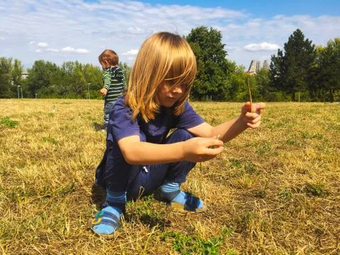 Children playing on the field Stock Photos