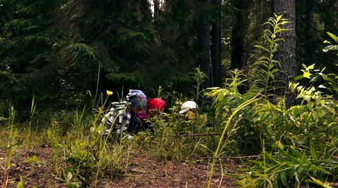 Children playing in the forest Stock Footage 58018220