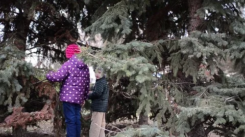 Children playing in front of a tree that has not yet been embellished 01 Stock Footage 78217931