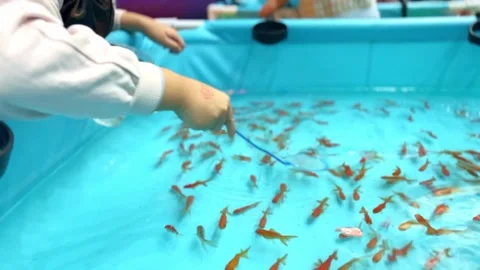 Children playing a game of catching small fish Stock Footage 265577671