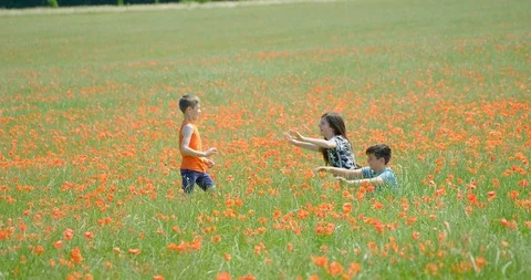 Children playing 'Hide and Seek' in a poppy field. 스톡 동영상 112021159