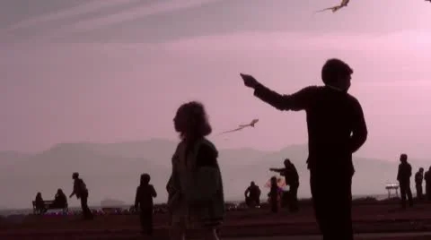 Children playing with a kite Stock Footage 8962556