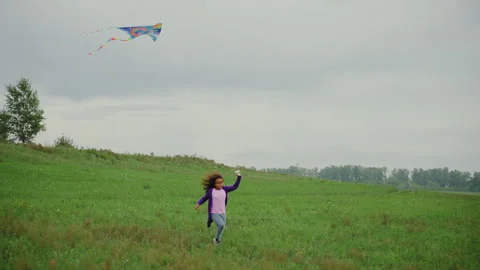 Children playing with a kite Stock Footage 251735102