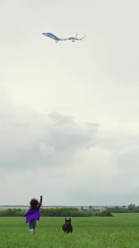 Children playing with a kite Stock-Footage 265050722