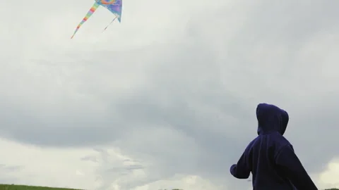 Children playing with a kite Stock Footage 265050745