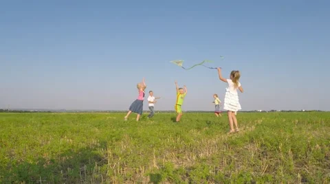 Children playing with a kite in the meadow. 库存影片 53240642