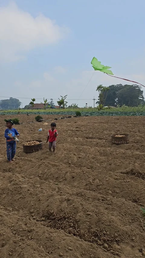 Children playing kites Stock Footage 248820834