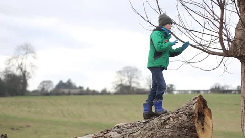 Children playing outdoors Stock Footage 81594833