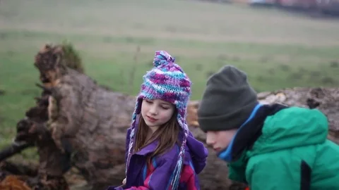 Children playing outdoors Stock Footage 81595082