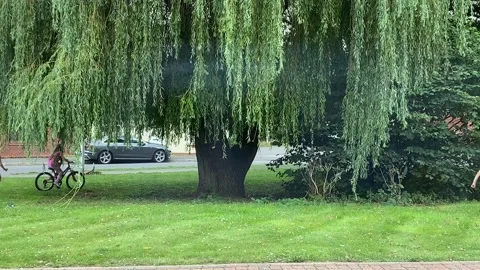 Children playing outside Video stock 137965380