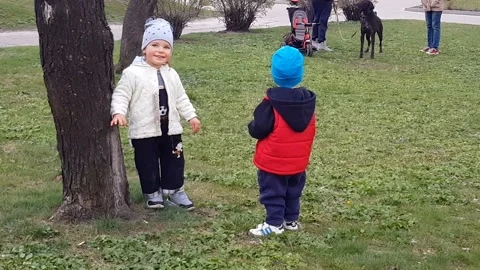 Children Playing In The Park 01 Stock Footage 107704786