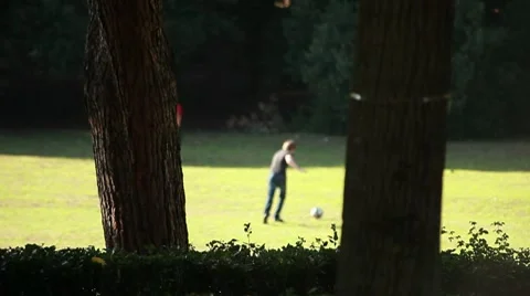 Children playing at park Stock Footage 8924754