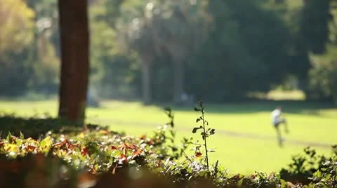 Children playing at park Stock Footage 8925745