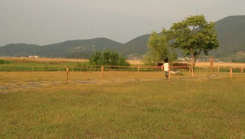 Children playing in park Stock Footage 11145009