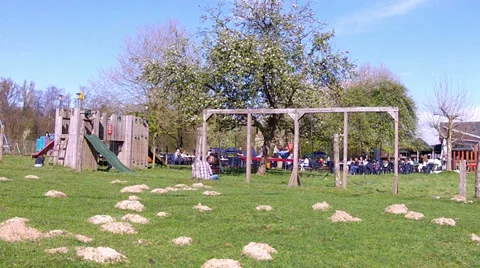Children playing in the park. Stock Footage 37013397