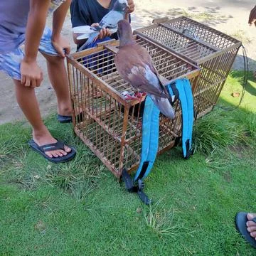 Children playing Stockfoto's