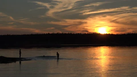 Children playing in pond Stock Footage 57672501