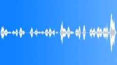 Children playing rhyme polish Sound Effect