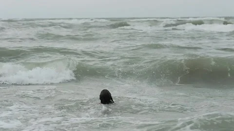 Children playing in the sea Stock Footage 139403196